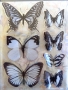 Stickers envol de papillons blanc/noir