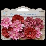10 fleurs Little Birdie Srnade Rouge/rose