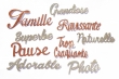 10 mots grand format paillets argent & bronze lot 1