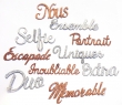 10 mots grand format pailletés argent & bronze lot 3