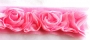 30 cm de ruban roses