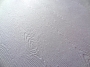 Feuille de papier A4 texture bois blanc