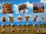 Stickers gauffrs savane modle 1