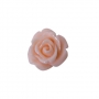 Mini roses en rsine saumon