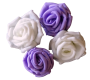 Roses mousse Garden Party