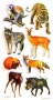 Stickers contours argentés Animaux des steppes