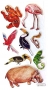 Stickers contours argents Faune des pays chauds