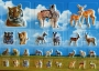 Stickers gauffrs savane modle 2