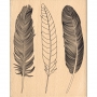 Tampon bois Florilges Trois plumes