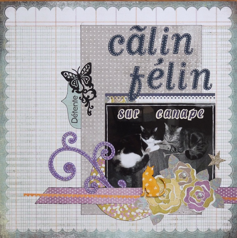 lilou752-calin-felin-sur-canape 