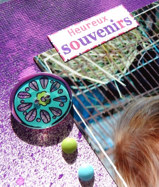 lilou752-ou-sont-les-lapins-pebbles-candy-dots